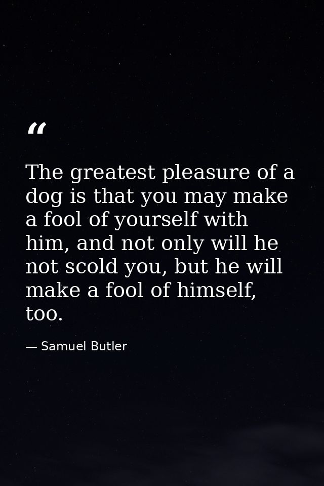 The greatest pleasure of a dog is that you may make a fool of yourself with him, and not only will he not scold you, but — Samuel Butler