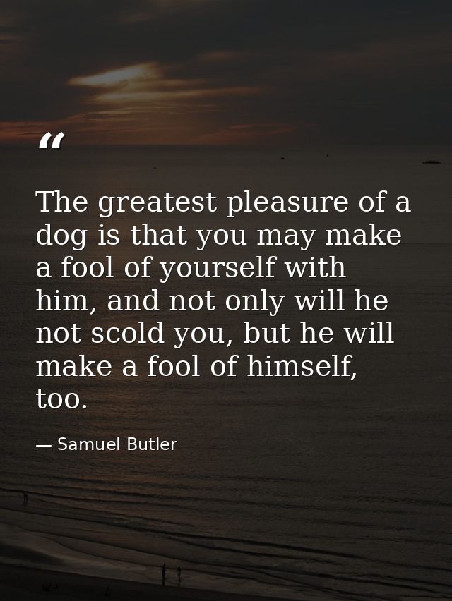 The greatest pleasure of a dog is that you may make a fool of yourself with him, and not only will he not scold you, but — Samuel Butler