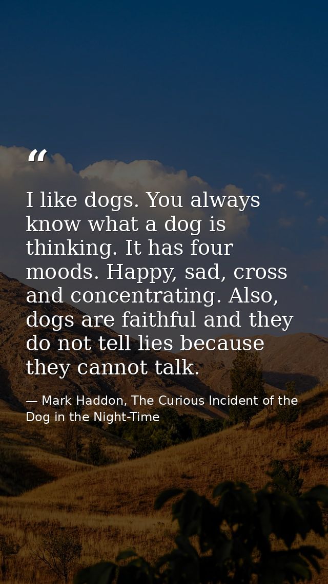 I like dogs. You always know what a dog is thinking. It has four moods. Happy, sad, cross and concentrating. Also, dogs  — Mark Haddon, The Curious Incident of the Dog in the Night-Time