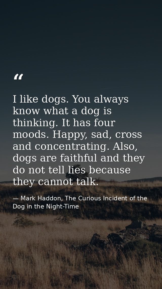 I like dogs. You always know what a dog is thinking. It has four moods. Happy, sad, cross and concentrating. Also, dogs  — Mark Haddon, The Curious Incident of the Dog in the Night-Time