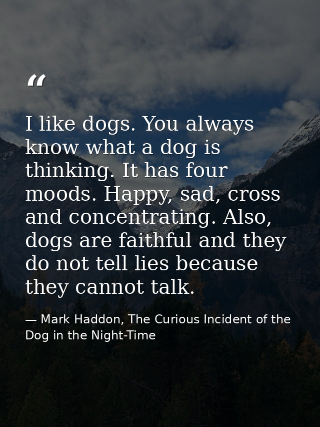 I like dogs. You always know what a dog is thinking. It has four moods. Happy, sad, cross and concentrating. Also, dogs  — Mark Haddon, The Curious Incident of the Dog in the Night-Time