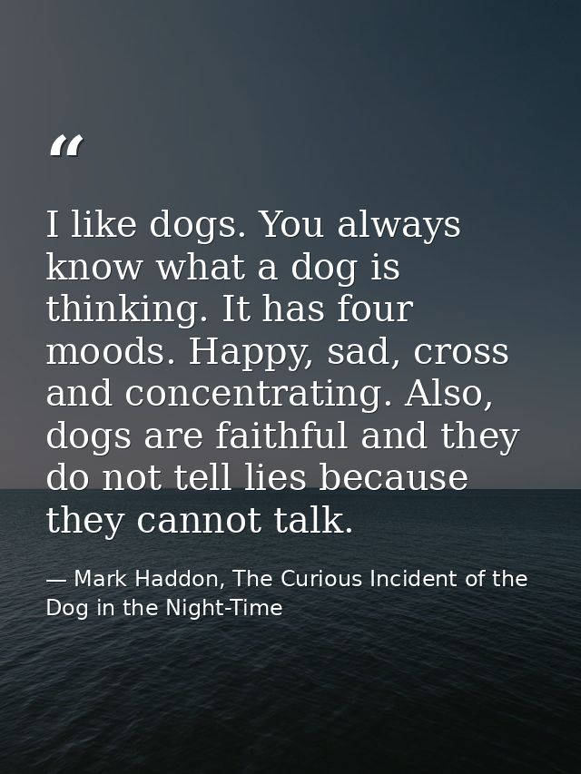 I like dogs. You always know what a dog is thinking. It has four moods. Happy, sad, cross and concentrating. Also, dogs  — Mark Haddon, The Curious Incident of the Dog in the Night-Time