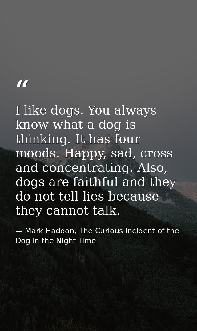 I like dogs. You always know what a dog is thinking. It has four moods. Happy, sad, cross and concentrating. Also, dogs  — Mark Haddon, The Curious Incident of the Dog in the Night-Time