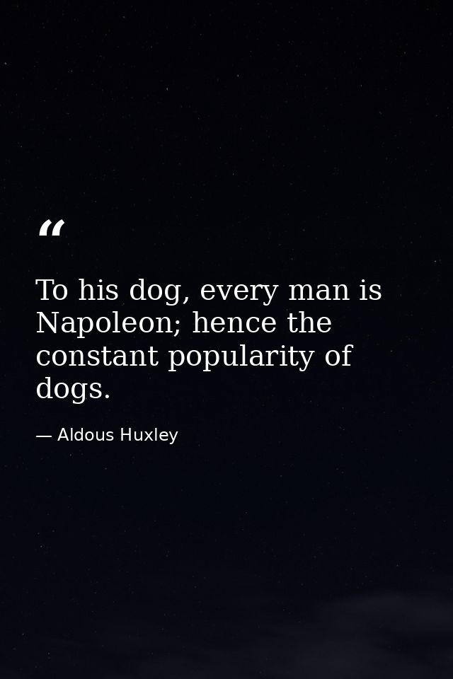 To his dog, every man is Napoleon; hence the constant popularity of dogs. — Aldous Huxley