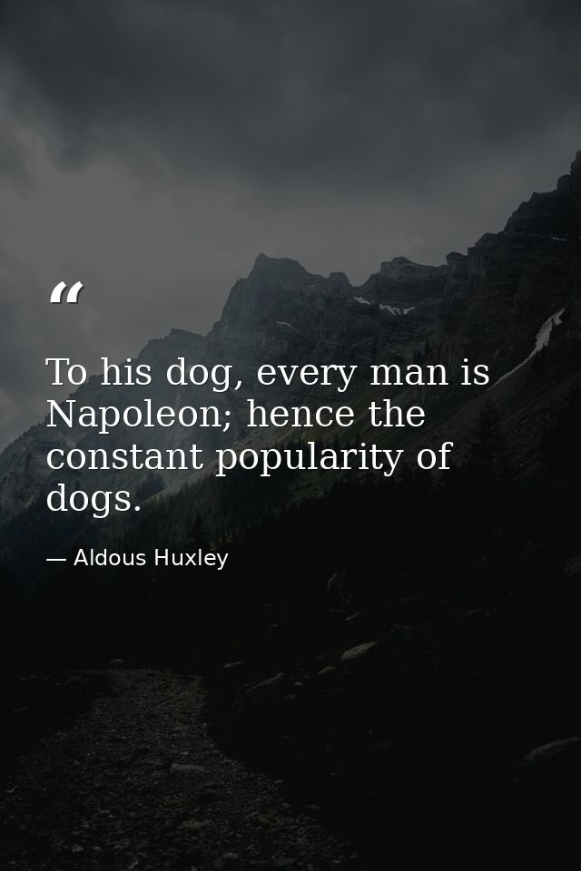To his dog, every man is Napoleon; hence the constant popularity of dogs. — Aldous Huxley