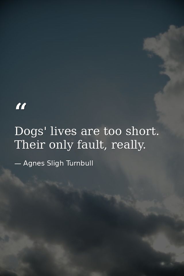 Dogs' lives are too short. Their only fault, really. — Agnes Sligh Turnbull