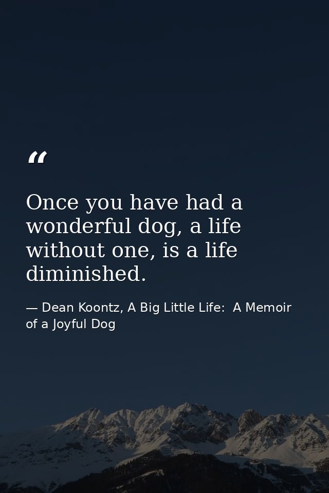 Once you have had a wonderful dog, a life without one, is a life diminished. — Dean Koontz, A Big Little Life:  A Memoir of a Joyful Dog