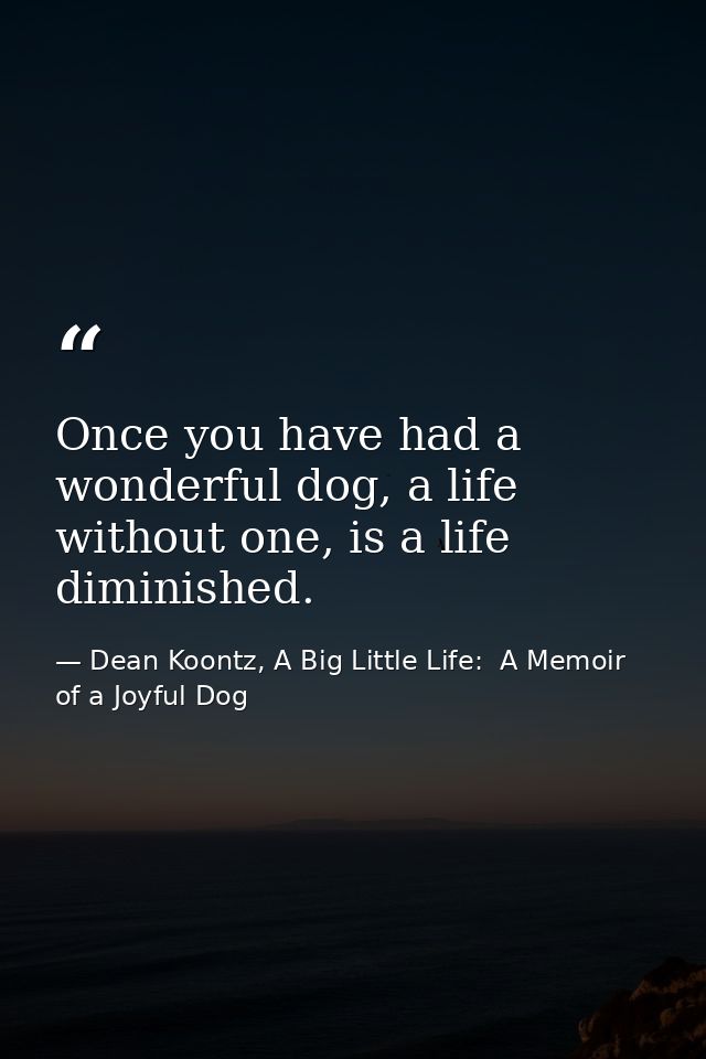 Once you have had a wonderful dog, a life without one, is a life diminished. — Dean Koontz, A Big Little Life:  A Memoir of a Joyful Dog