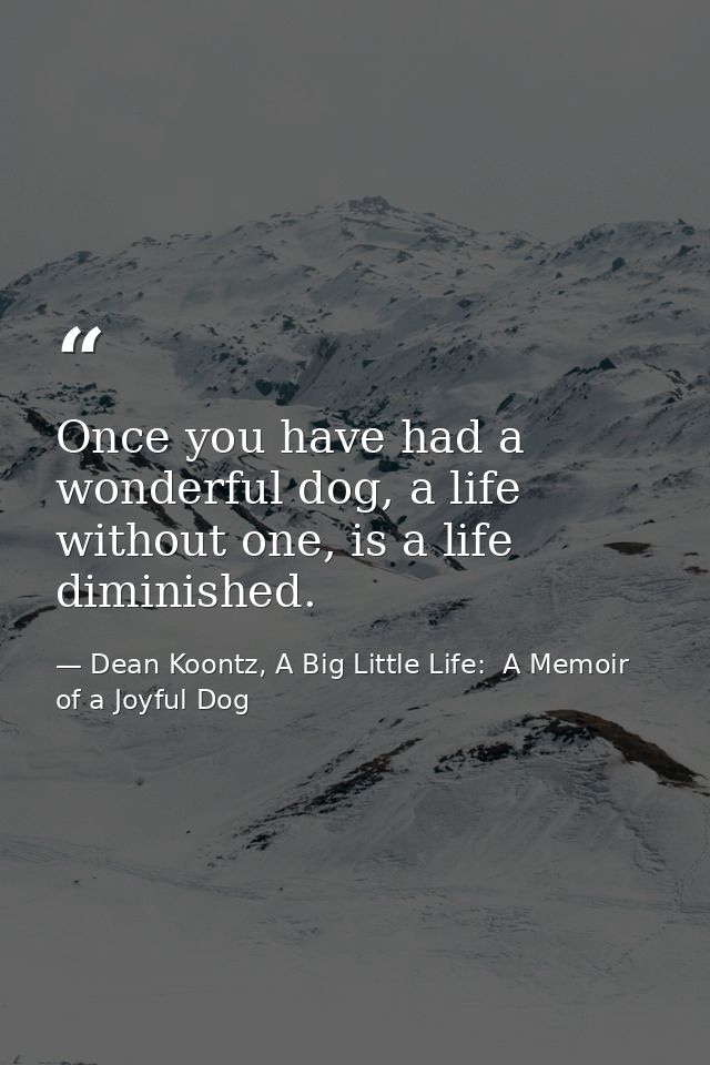 Once you have had a wonderful dog, a life without one, is a life diminished. — Dean Koontz, A Big Little Life:  A Memoir of a Joyful Dog