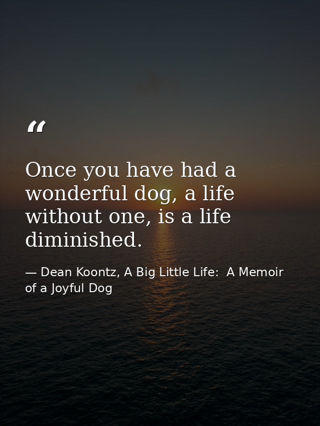 Once you have had a wonderful dog, a life without one, is a life diminished. — Dean Koontz, A Big Little Life:  A Memoir of a Joyful Dog