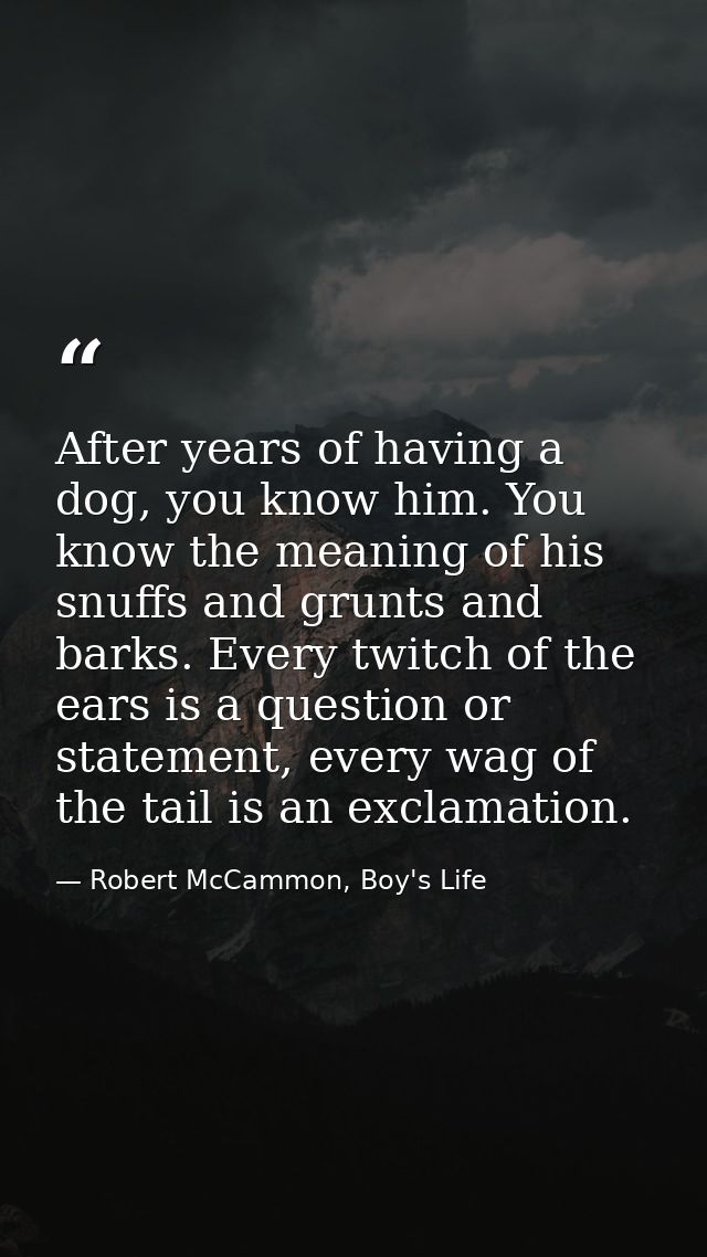 After years of having a dog, you know him. You know the meaning of his snuffs and grunts and barks. Every twitch of the  — Robert McCammon, Boy's Life