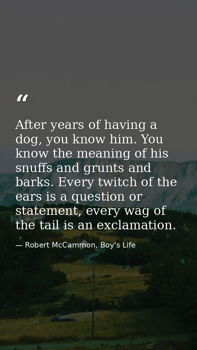 After years of having a dog, you know him. You know the meaning of his snuffs and grunts and barks. Every twitch of the  — Robert McCammon, Boy's Life