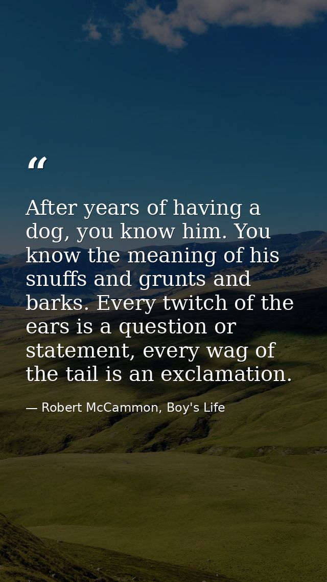 After years of having a dog, you know him. You know the meaning of his snuffs and grunts and barks. Every twitch of the  — Robert McCammon, Boy's Life