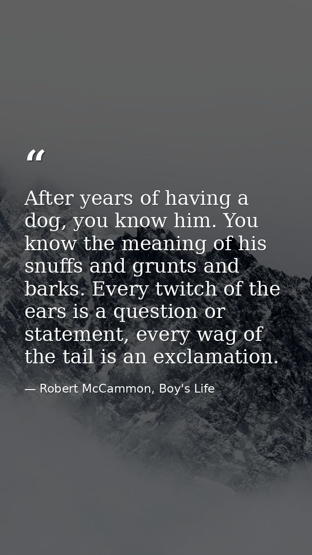 After years of having a dog, you know him. You know the meaning of his snuffs and grunts and barks. Every twitch of the  — Robert McCammon, Boy's Life
