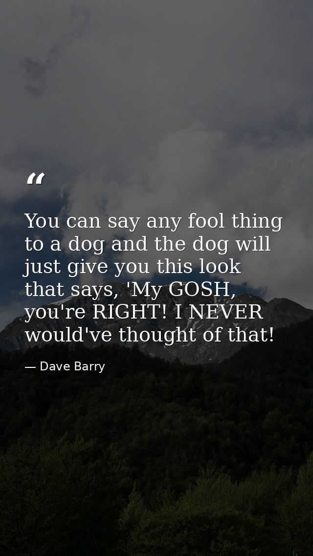 You can say any fool thing to a dog and the dog will just give you this look that says, 'My GOSH, you're RIGHT! I NEVER  — Dave Barry