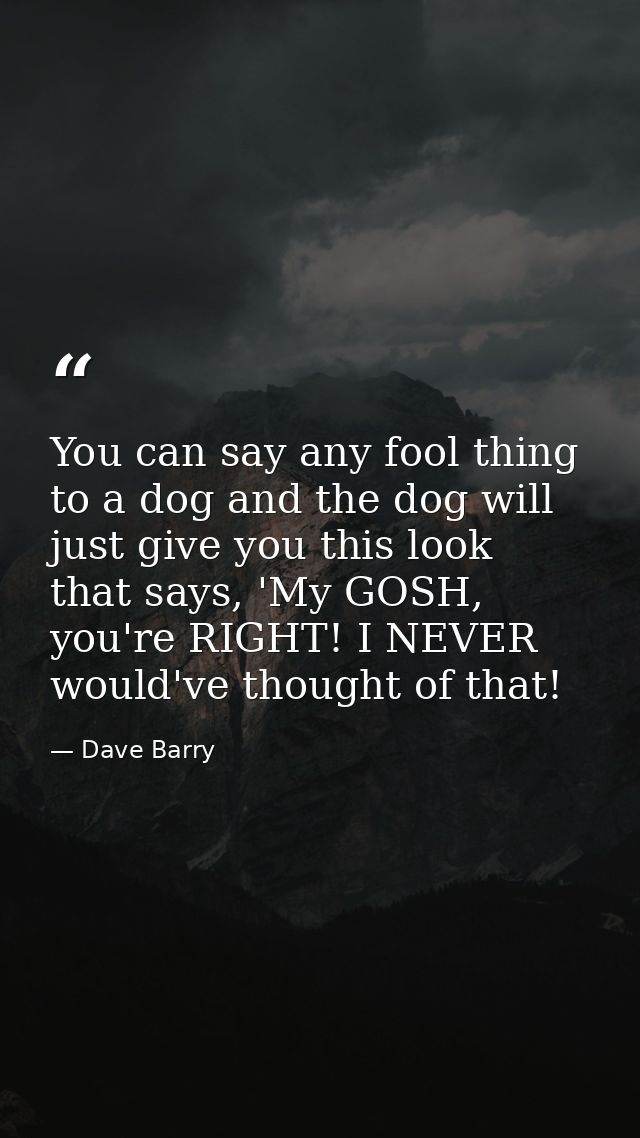 You can say any fool thing to a dog and the dog will just give you this look that says, 'My GOSH, you're RIGHT! I NEVER  — Dave Barry