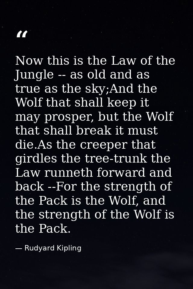 Now this is the Law of the Jungle -- as old and as true as the sky;And the Wolf that shall keep it may prosper, but the  — Rudyard Kipling