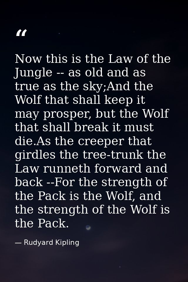 Now this is the Law of the Jungle -- as old and as true as the sky;And the Wolf that shall keep it may prosper, but the  — Rudyard Kipling