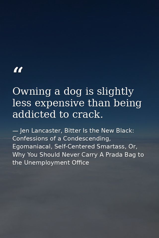 Owning a dog is slightly less expensive than being addicted to crack. — Jen Lancaster, Bitter Is the New Black: Confessions of a Condescending, Egomaniacal, Self-Centered Smartass, Or, Why You Should Never Carry A Prada Bag to the Unemployment Office