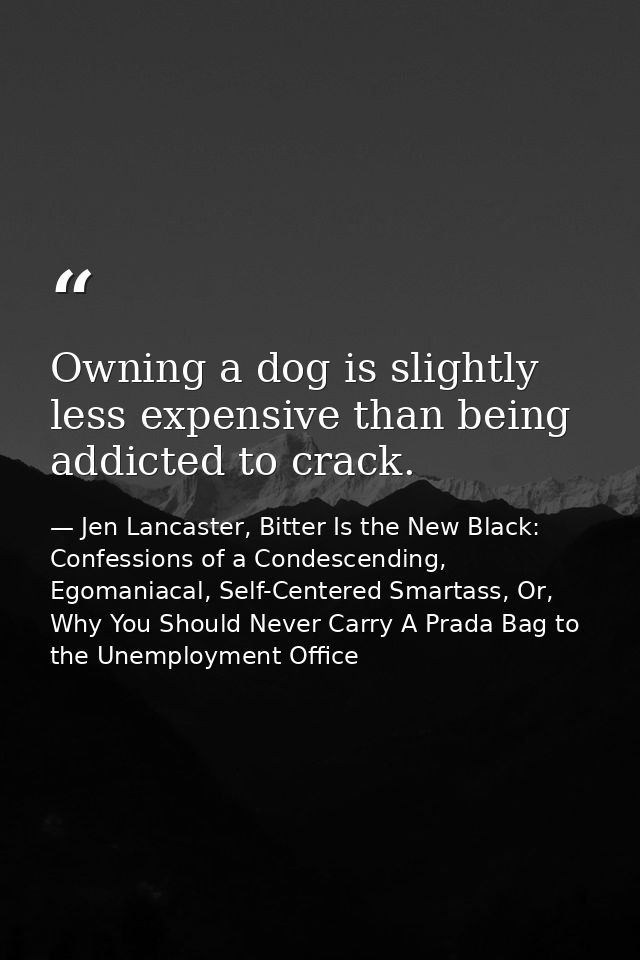 Owning a dog is slightly less expensive than being addicted to crack. — Jen Lancaster, Bitter Is the New Black: Confessions of a Condescending, Egomaniacal, Self-Centered Smartass, Or, Why You Should Never Carry A Prada Bag to the Unemployment Office