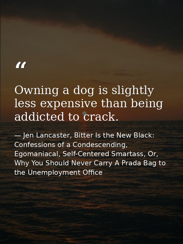 Owning a dog is slightly less expensive than being addicted to crack. — Jen Lancaster, Bitter Is the New Black: Confessions of a Condescending, Egomaniacal, Self-Centered Smartass, Or, Why You Should Never Carry A Prada Bag to the Unemployment Office