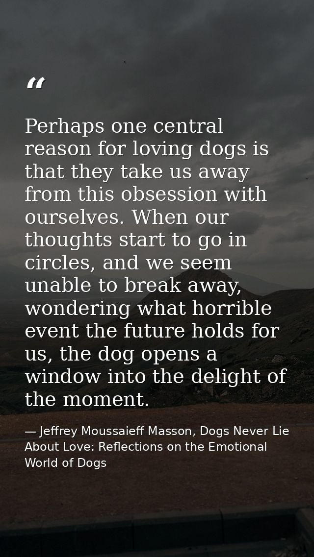 Perhaps one central reason for loving dogs is that they take us away from this obsession with ourselves. When our though — Jeffrey Moussaieff Masson, Dogs Never Lie About Love: Reflections on the Emotional World of Dogs