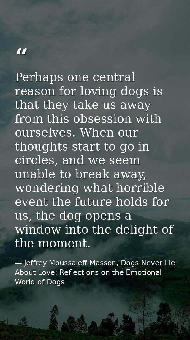 Perhaps one central reason for loving dogs is that they take us away from this obsession with ourselves. When our though — Jeffrey Moussaieff Masson, Dogs Never Lie About Love: Reflections on the Emotional World of Dogs