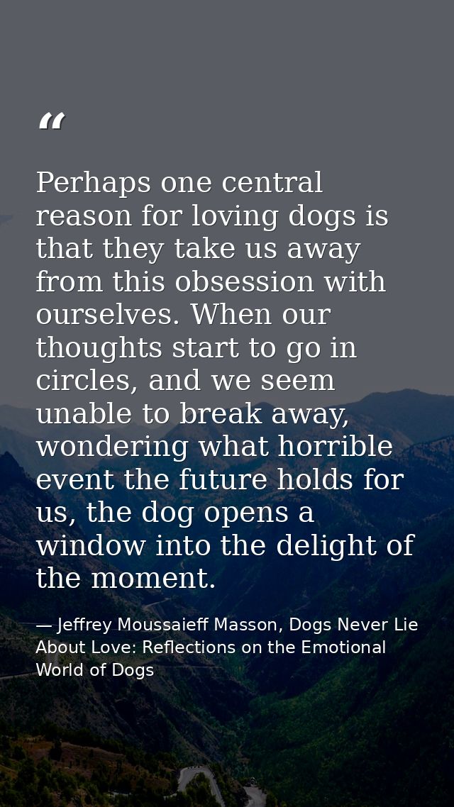 Perhaps one central reason for loving dogs is that they take us away from this obsession with ourselves. When our though — Jeffrey Moussaieff Masson, Dogs Never Lie About Love: Reflections on the Emotional World of Dogs