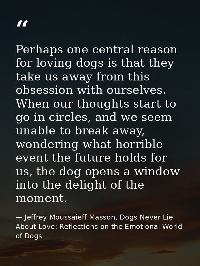 Perhaps one central reason for loving dogs is that they take us away from this obsession with ourselves. When our though — Jeffrey Moussaieff Masson, Dogs Never Lie About Love: Reflections on the Emotional World of Dogs