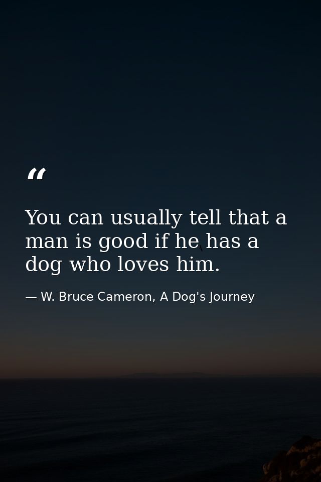 You can usually tell that a man is good if he has a dog who loves him. — W. Bruce Cameron, A Dog's Journey
