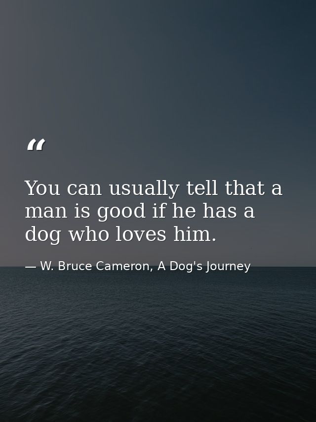 You can usually tell that a man is good if he has a dog who loves him. — W. Bruce Cameron, A Dog's Journey
