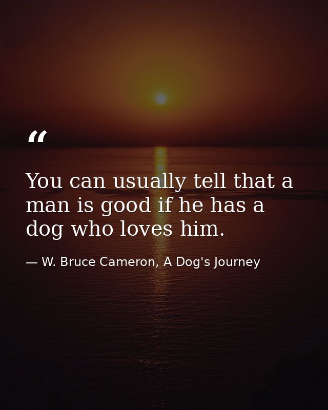 You can usually tell that a man is good if he has a dog who loves him. — W. Bruce Cameron, A Dog's Journey