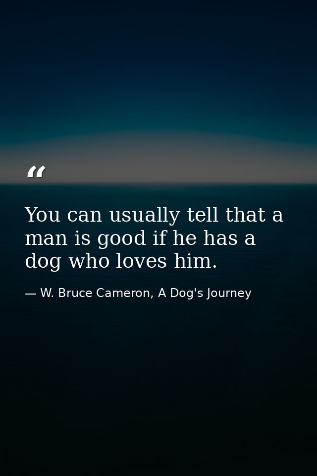 You can usually tell that a man is good if he has a dog who loves him. — W. Bruce Cameron, A Dog's Journey