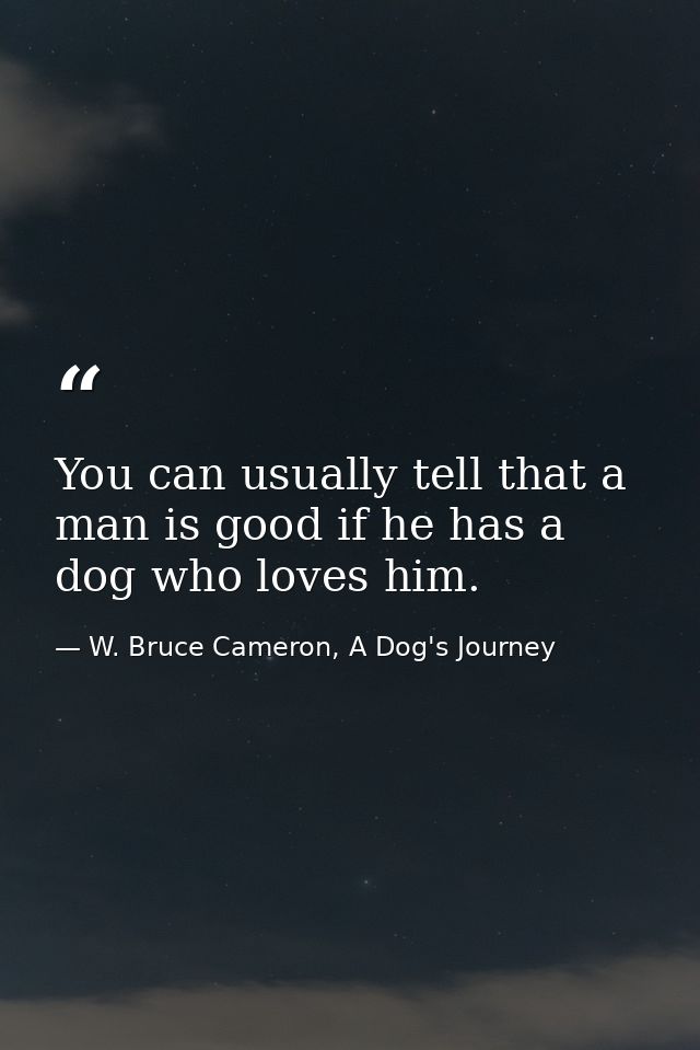 You can usually tell that a man is good if he has a dog who loves him. — W. Bruce Cameron, A Dog's Journey