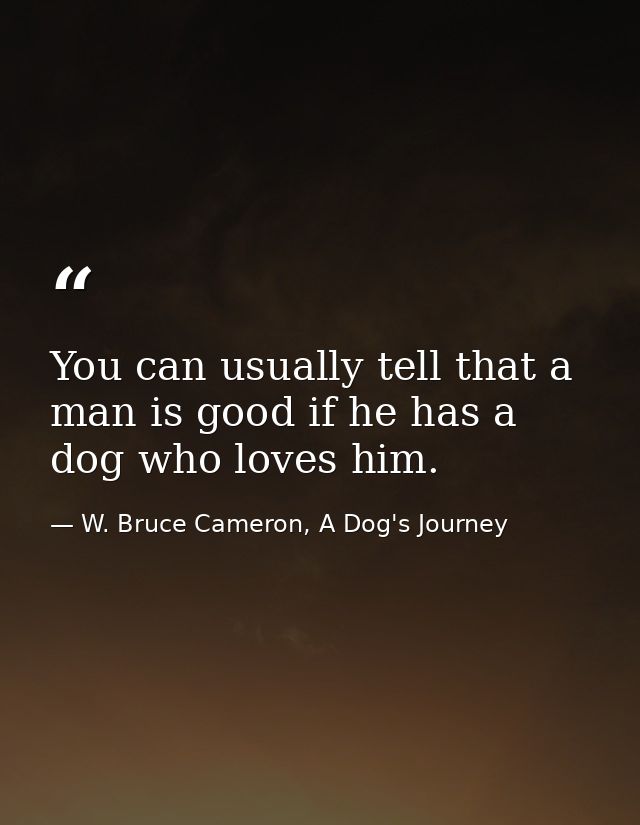 You can usually tell that a man is good if he has a dog who loves him. — W. Bruce Cameron, A Dog's Journey