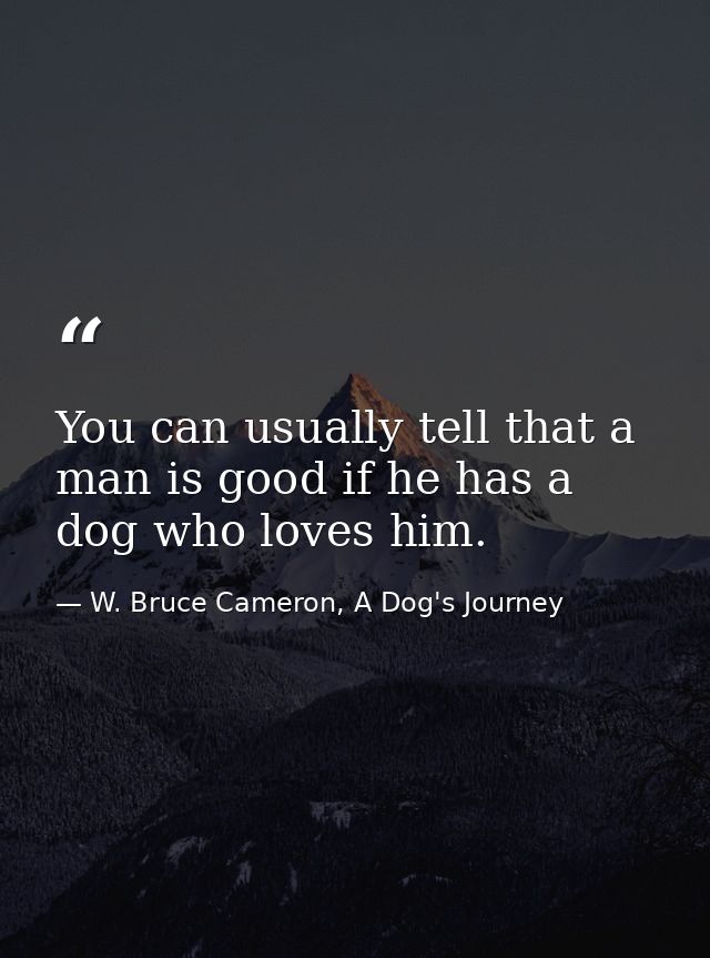 You can usually tell that a man is good if he has a dog who loves him. — W. Bruce Cameron, A Dog's Journey