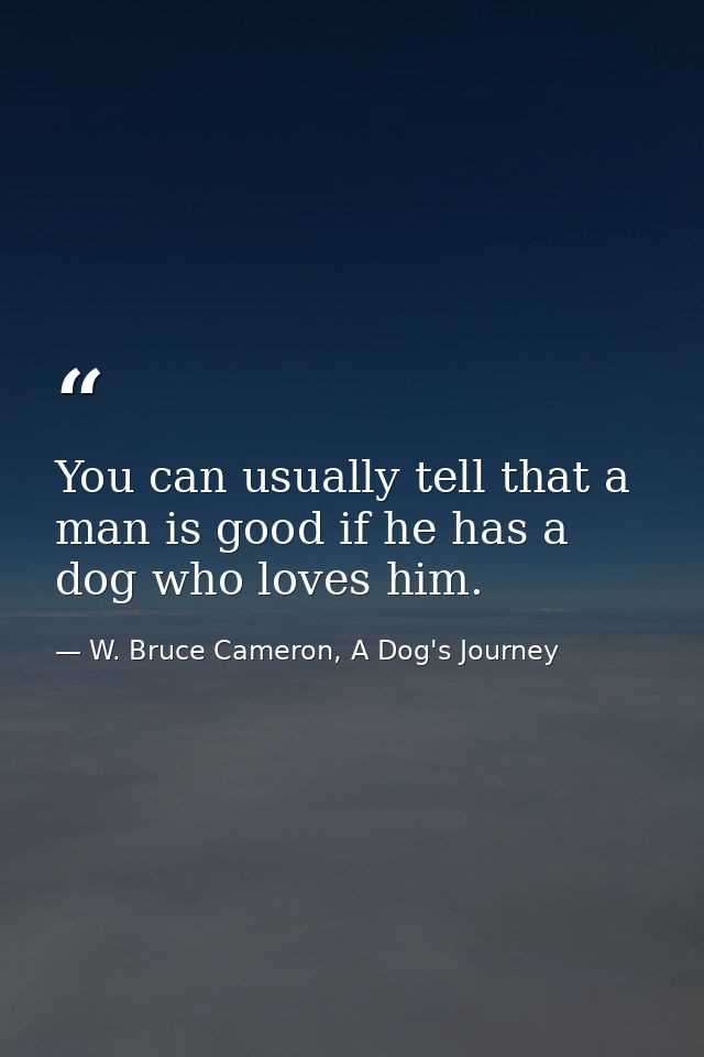 You can usually tell that a man is good if he has a dog who loves him. — W. Bruce Cameron, A Dog's Journey