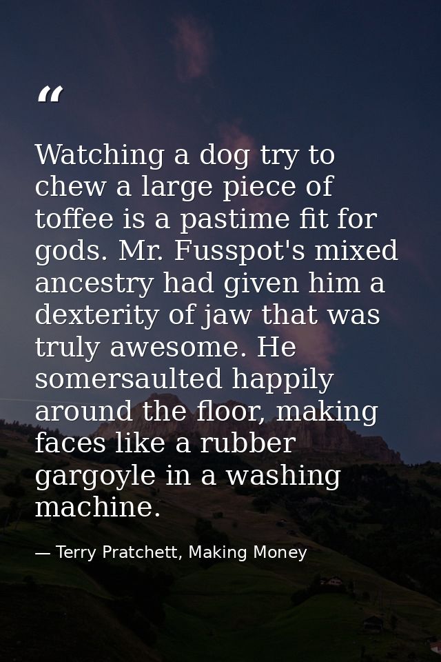 Watching a dog try to chew a large piece of toffee is a pastime fit for gods. Mr. Fusspot's mixed ancestry had given him — Terry Pratchett, Making Money