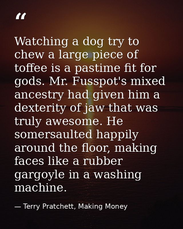 Watching a dog try to chew a large piece of toffee is a pastime fit for gods. Mr. Fusspot's mixed ancestry had given him — Terry Pratchett, Making Money