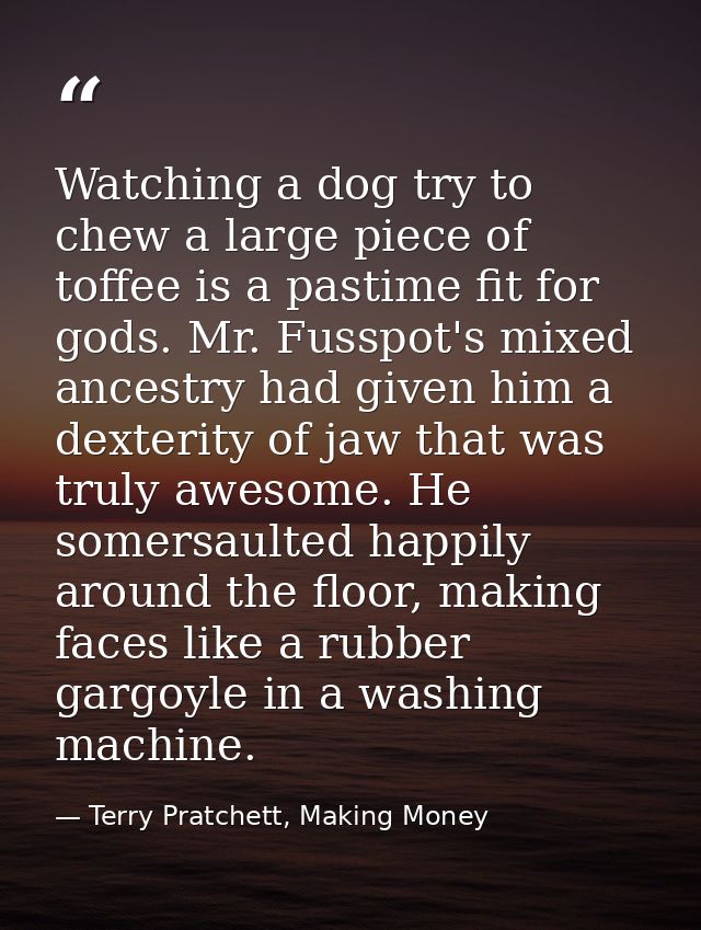 Watching a dog try to chew a large piece of toffee is a pastime fit for gods. Mr. Fusspot's mixed ancestry had given him — Terry Pratchett, Making Money
