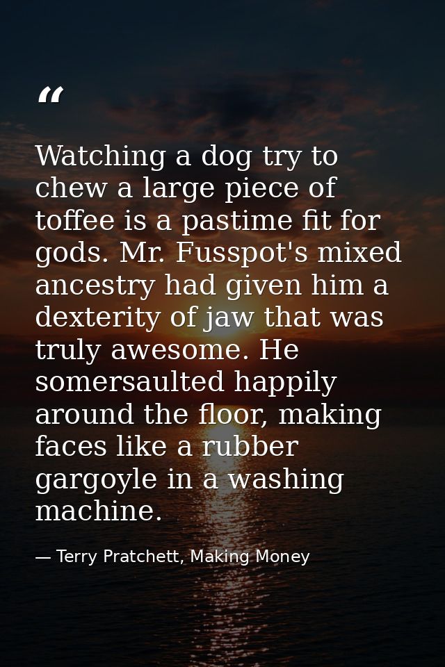 Watching a dog try to chew a large piece of toffee is a pastime fit for gods. Mr. Fusspot's mixed ancestry had given him — Terry Pratchett, Making Money