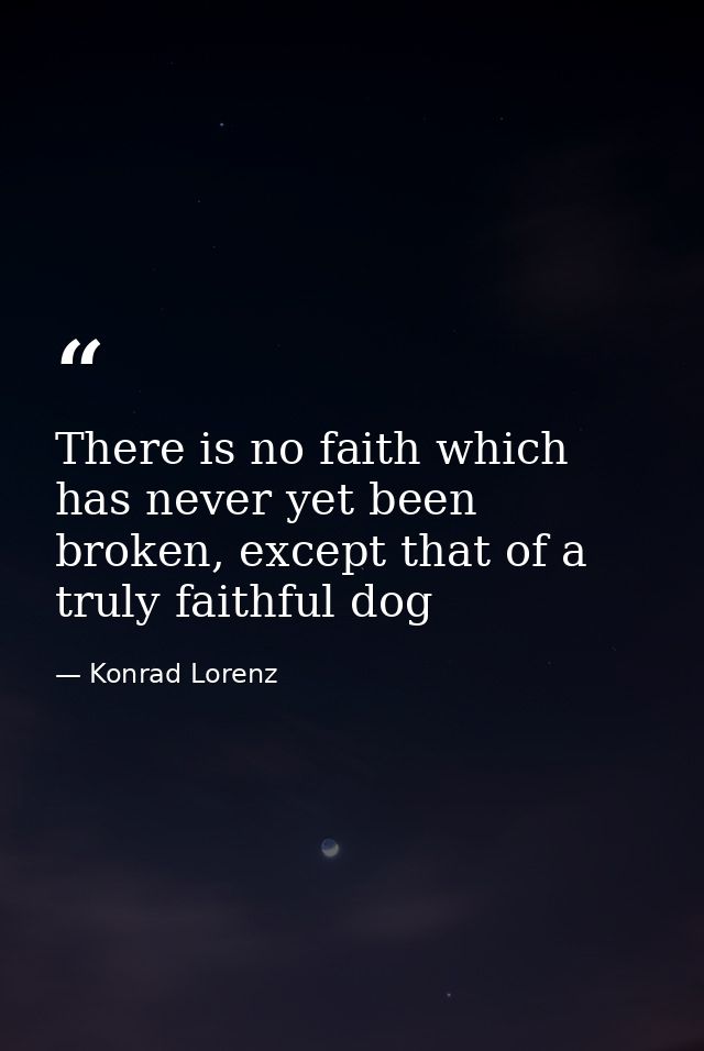 There is no faith which has never yet been broken, except that of a truly faithful dog — Konrad Lorenz