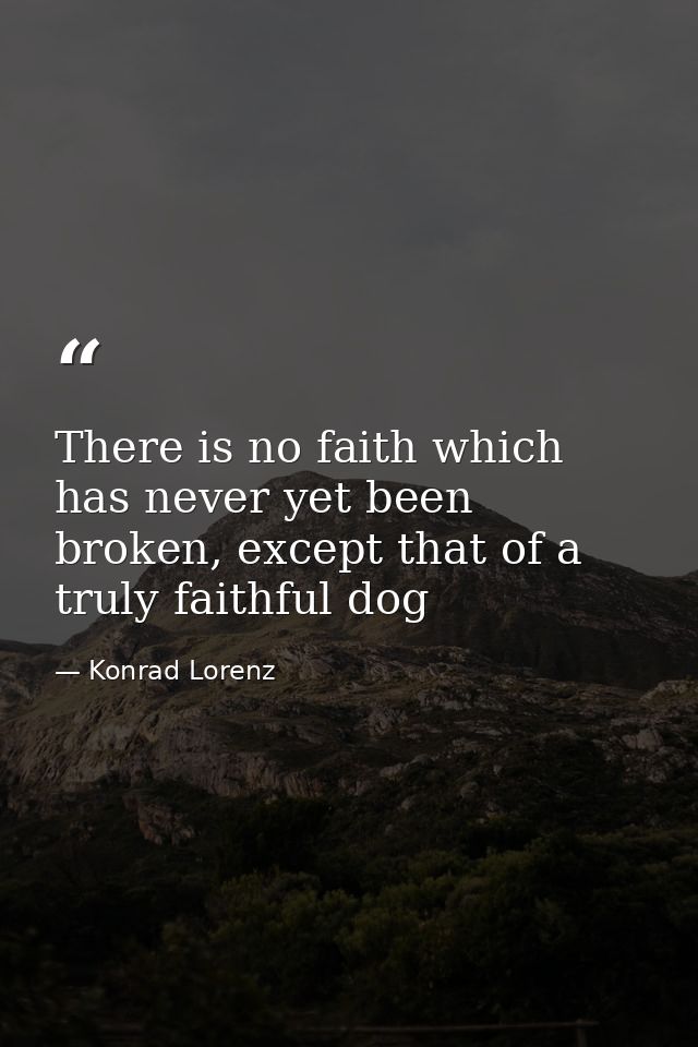 There is no faith which has never yet been broken, except that of a truly faithful dog — Konrad Lorenz