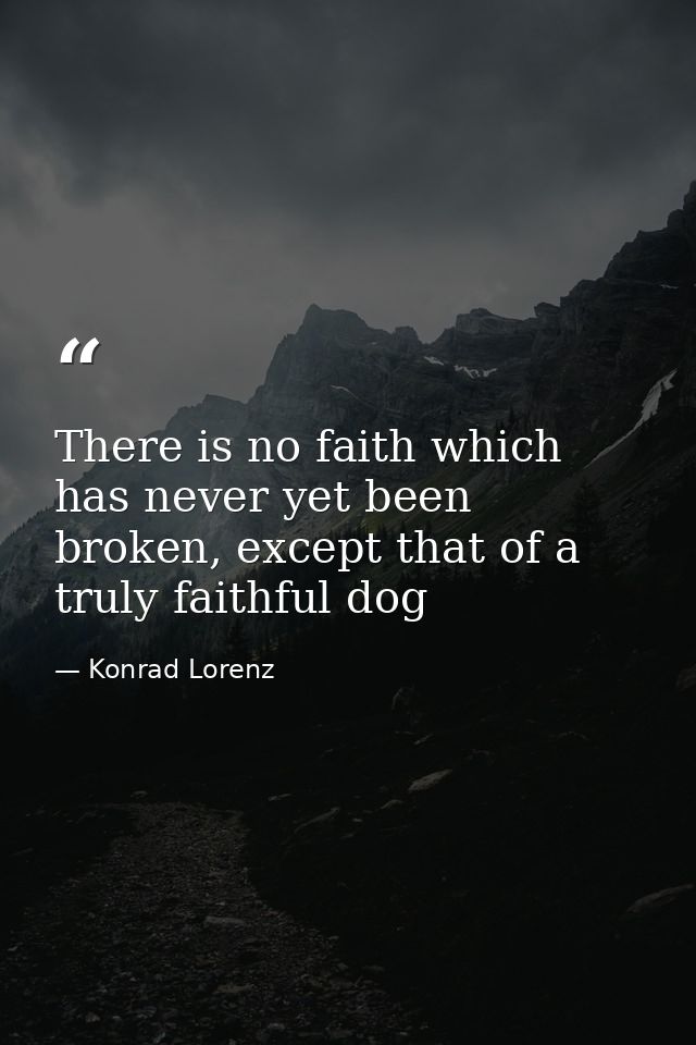 There is no faith which has never yet been broken, except that of a truly faithful dog — Konrad Lorenz