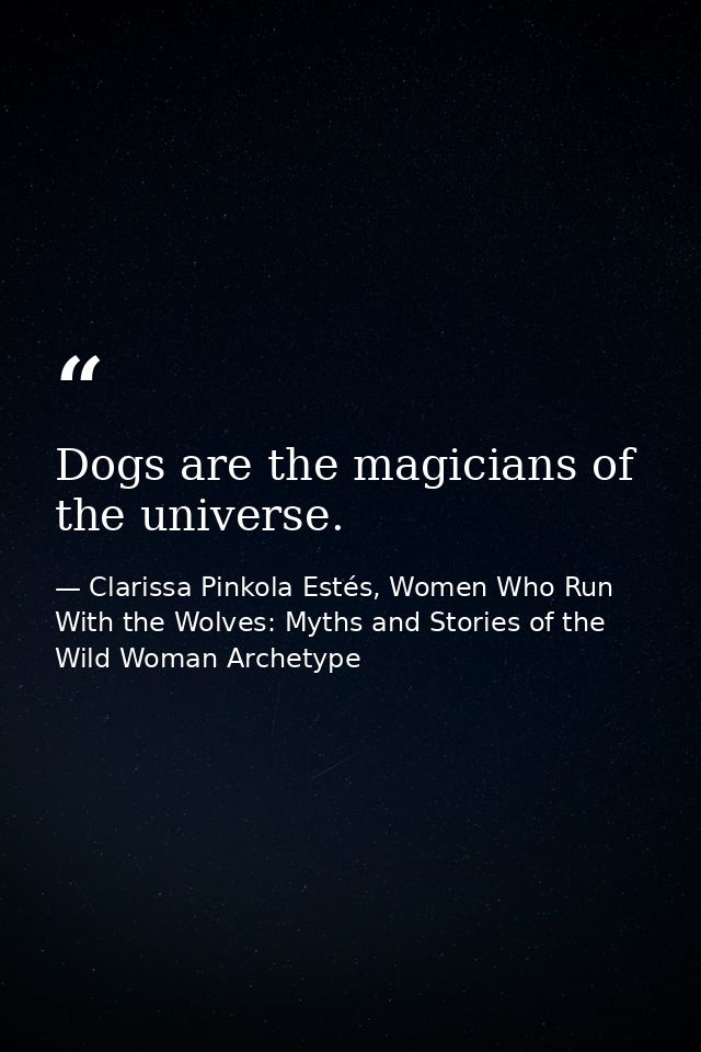 Dogs are the magicians of the universe. — Clarissa Pinkola Estés, Women Who Run With the Wolves: Myths and Stories of the Wild Woman Archetype