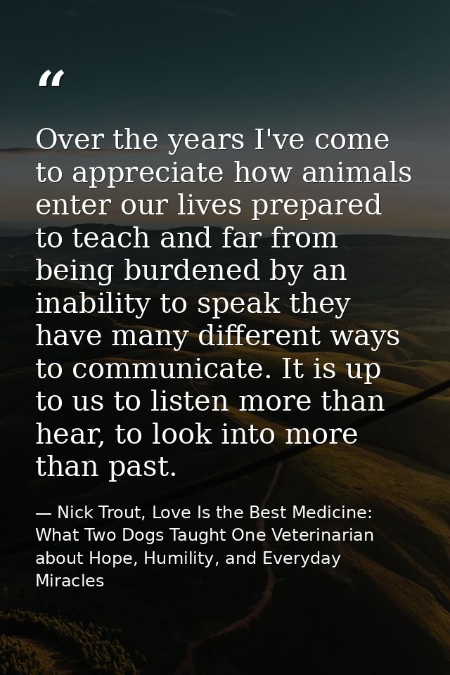 Over the years I've come to appreciate how animals enter our lives prepared to teach and far from being burdened by an i — Nick Trout, Love Is the Best Medicine: What Two Dogs Taught One Veterinarian about Hope, Humility, and Everyday Miracles