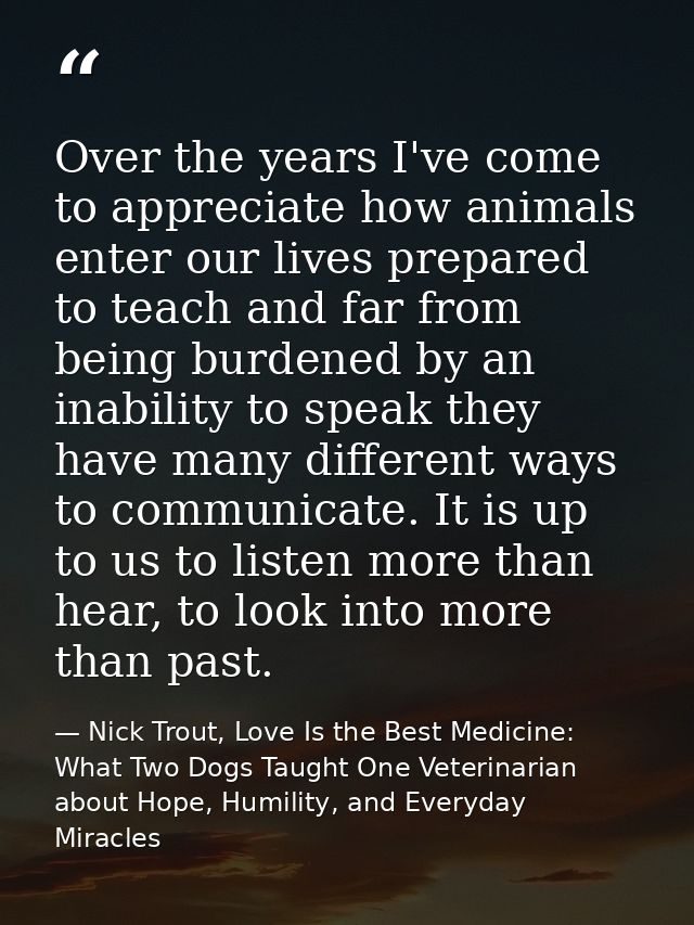 Over the years I've come to appreciate how animals enter our lives prepared to teach and far from being burdened by an i — Nick Trout, Love Is the Best Medicine: What Two Dogs Taught One Veterinarian about Hope, Humility, and Everyday Miracles