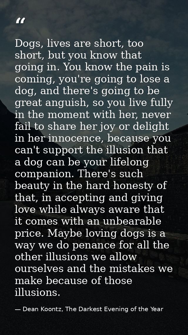 Dogs, lives are short, too short, but you know that going in. You know the pain is coming, you're going to lose a dog, a — Dean Koontz, The Darkest Evening of the Year