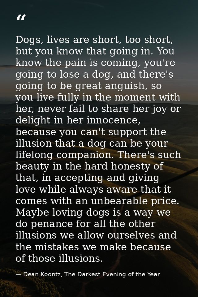 Dogs, lives are short, too short, but you know that going in. You know the pain is coming, you're going to lose a dog, a — Dean Koontz, The Darkest Evening of the Year