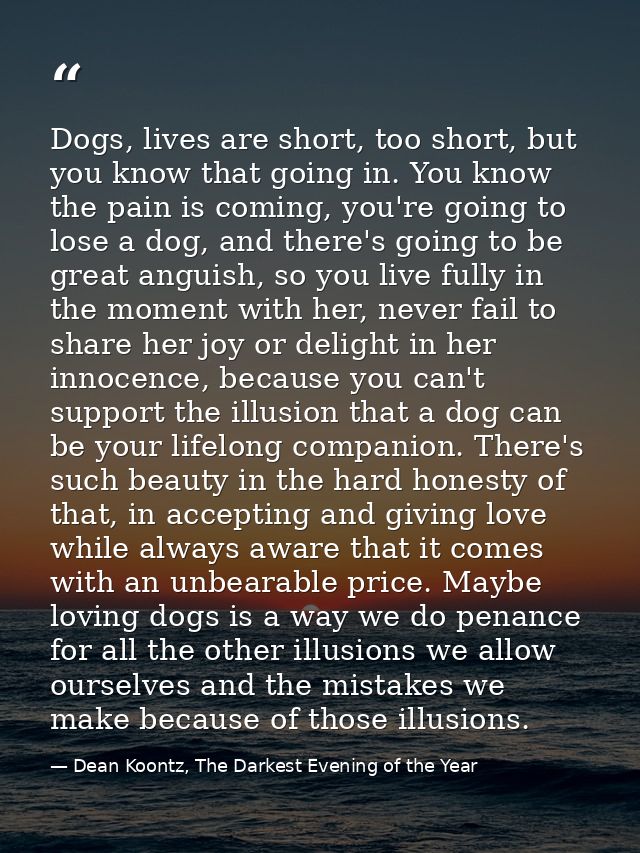 Dogs, lives are short, too short, but you know that going in. You know the pain is coming, you're going to lose a dog, a — Dean Koontz, The Darkest Evening of the Year